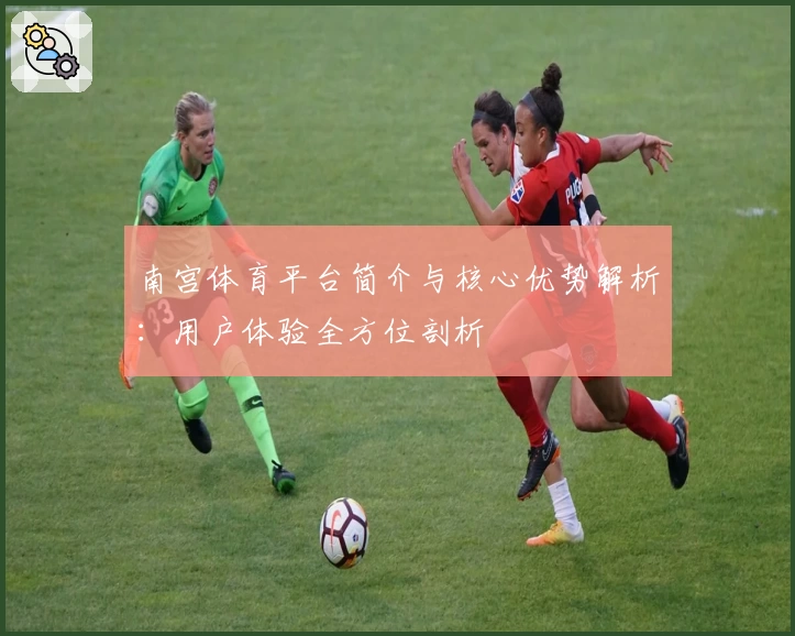 南宫体育平台简介与核心优势解析：用户体验全方位剖析