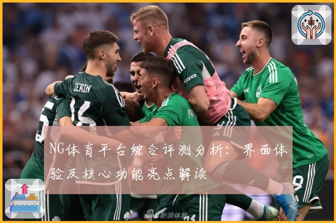 NG体育平台综合评测分析：界面体验及核心功能亮点解读