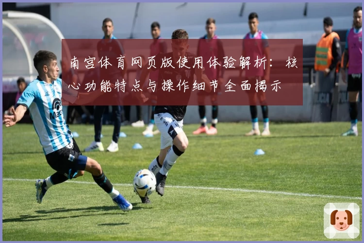 南宫体育网页版使用体验解析：核心功能特点与操作细节全面揭示